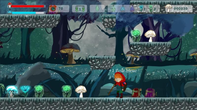 Image du projet